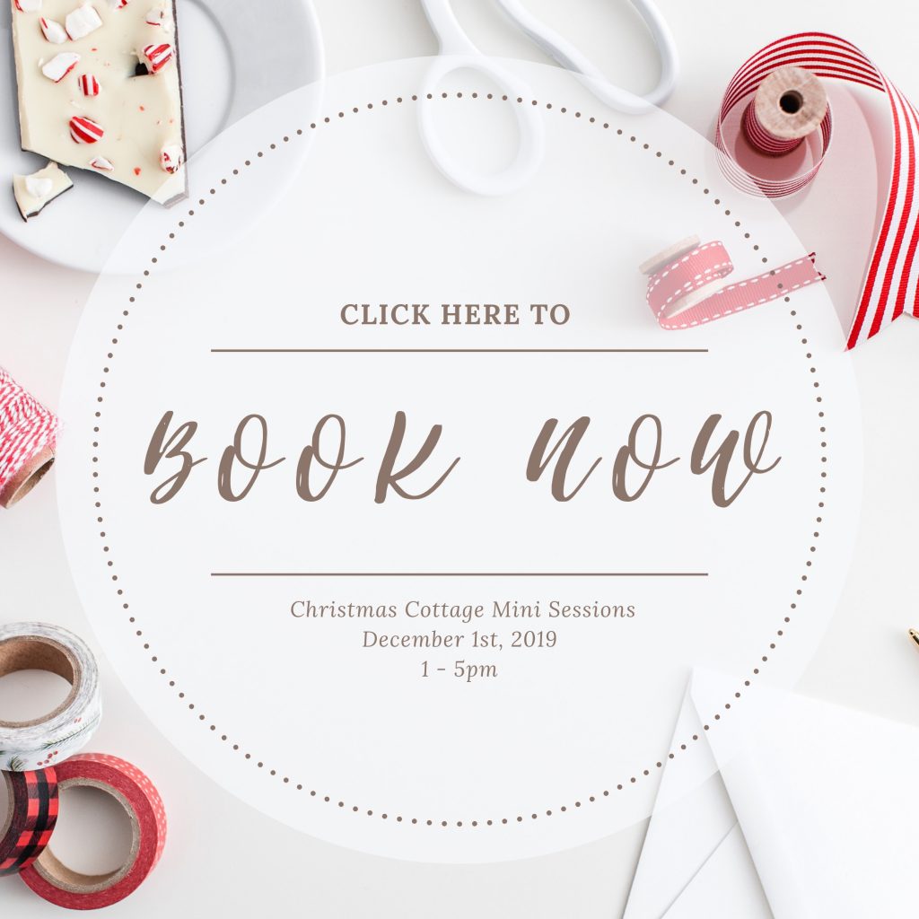 Book Now - Christmas Mini Session