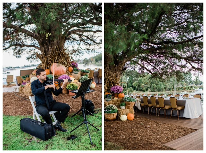 Violinist performs among fall mums and pumpkins at intimate wedding reception at The Tides Inn in Irvington, Virginia.