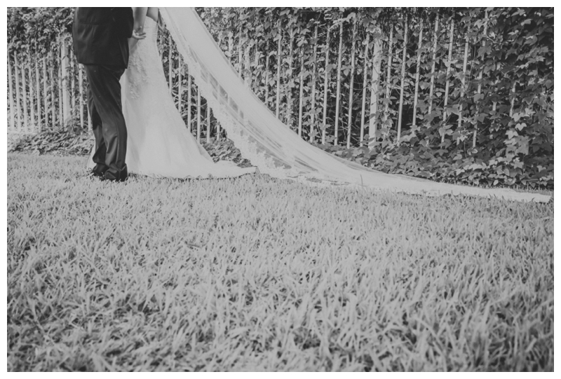 Lace cathedral bridal veil sweeps along the wedding lawn grass.