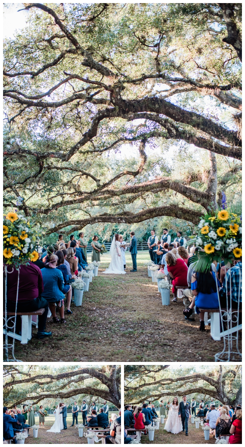 Southwest Florida bride and groom stand under oak trees alongside aisle lined with sunflowers.