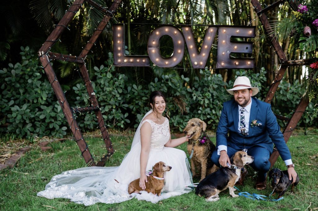 Bride and groom with dogs 