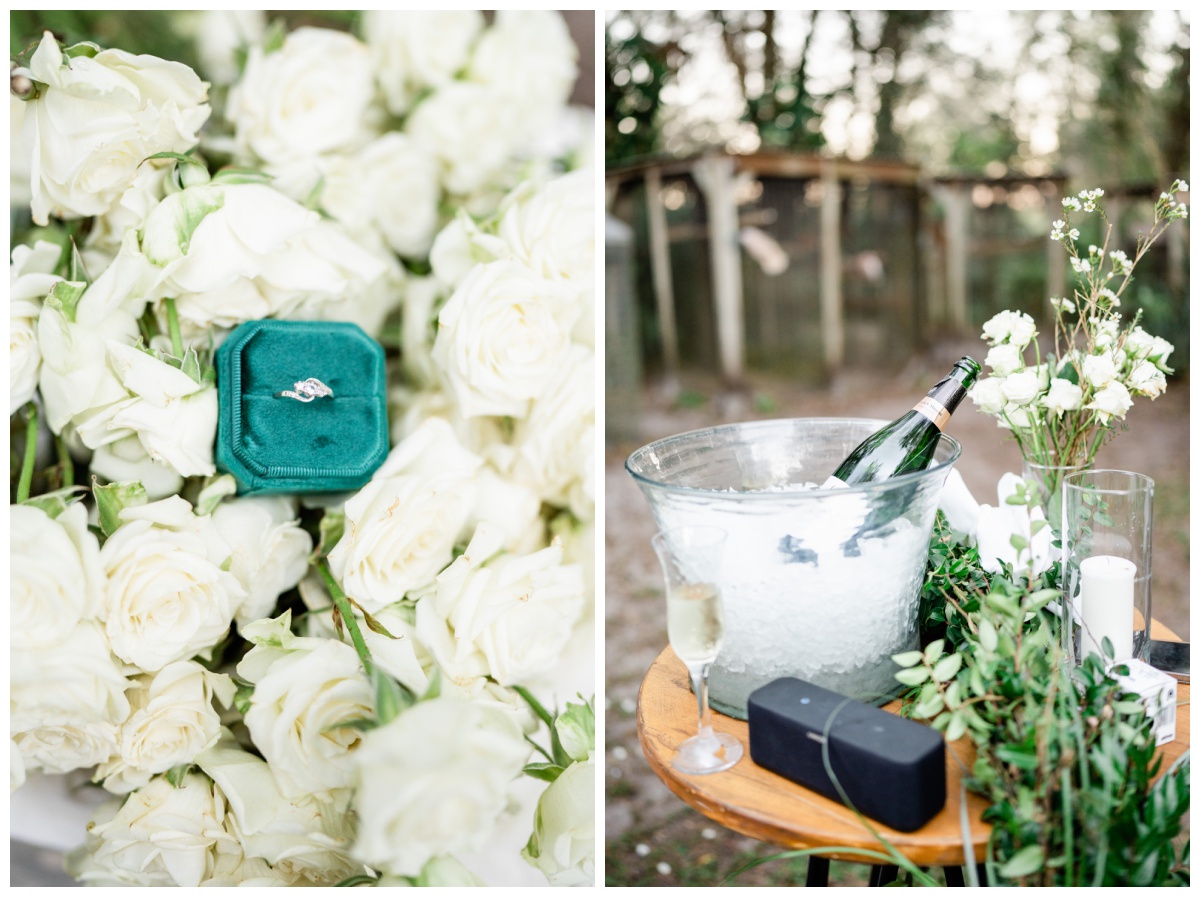 White roses and champagne set in Florida engagement