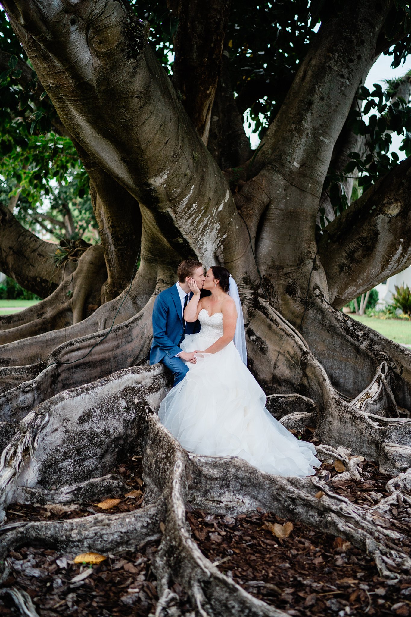 bride and groom embrace underneath banyan tree