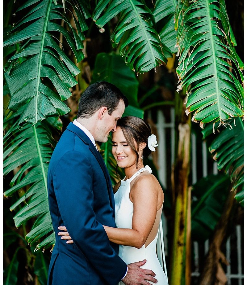 Bride and groom portrait among tropical Florida greenery