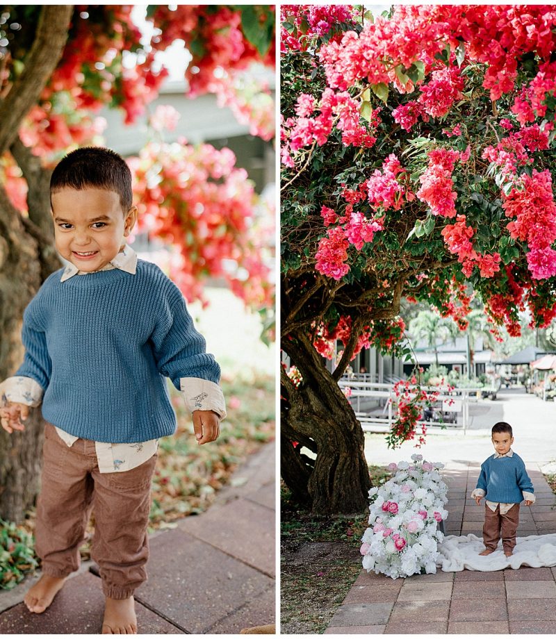 Spring Minis Edison Home